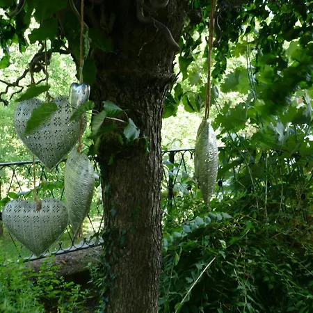 Reitz - Urlaub In Der Heimat Der Brueder Grimm Fritzlar